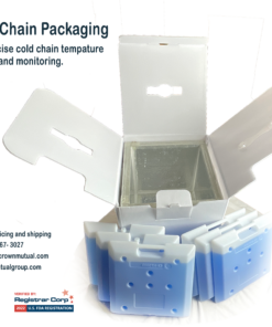 Alternative view of Cold Chain Packaging 4L or 12L